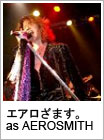 エアロざます as AEROSMITH