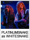 PLATINUMSNAKE as WHITESNAKE